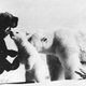 Illustration for article titled Strange Historic Photos From Antarctica and Other Kingdoms of Ice